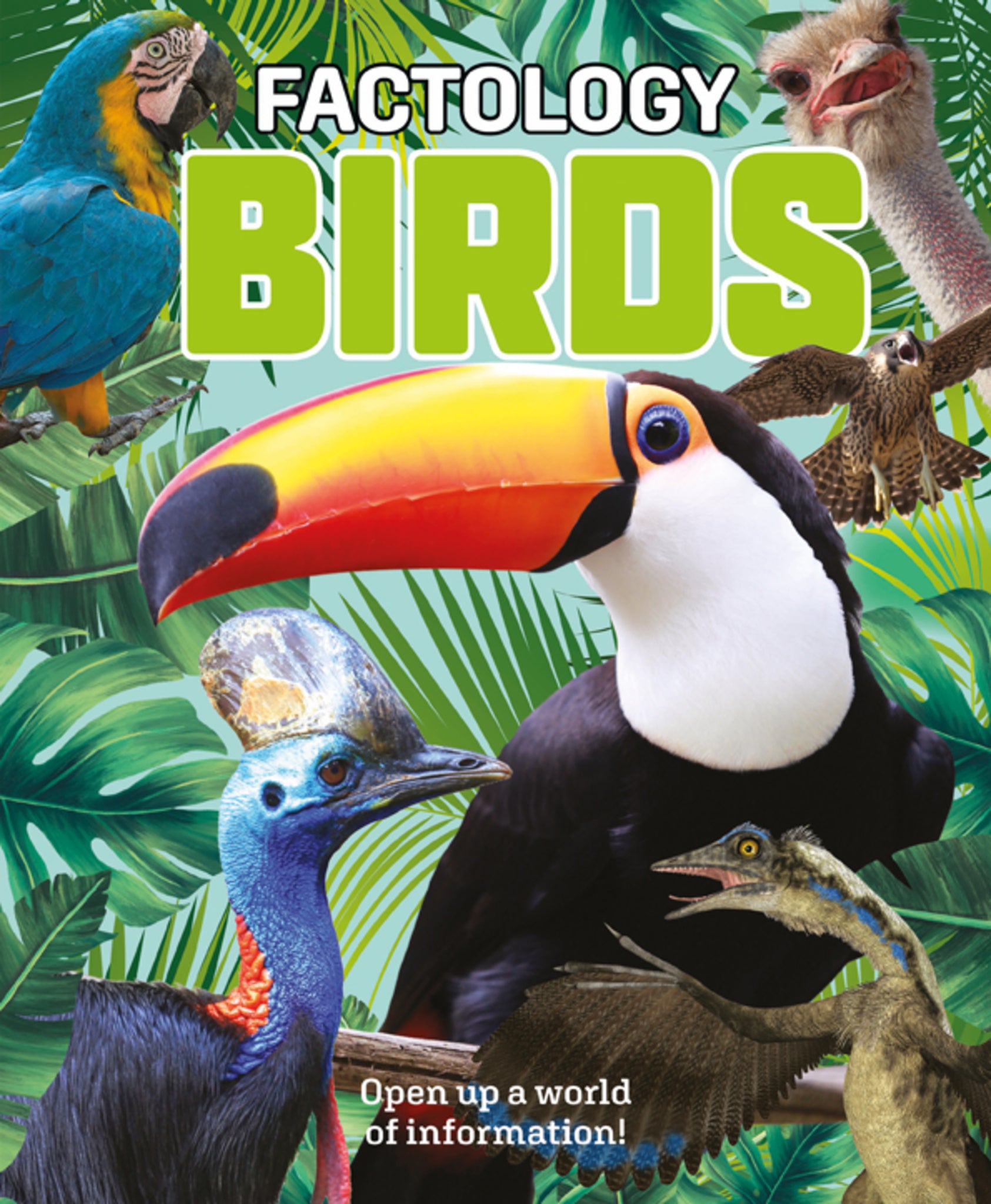 Factology: Birds